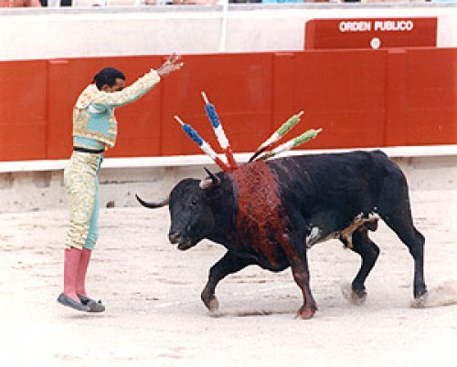 Cómo son las corridas de toros 