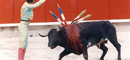 Cómo son las corridas de toros 