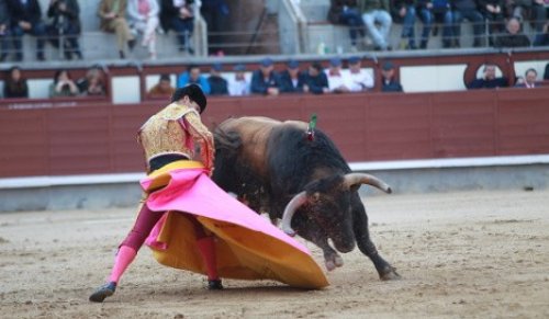 Prohibir los toros no compensa