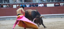 Prohibir los toros no compensa